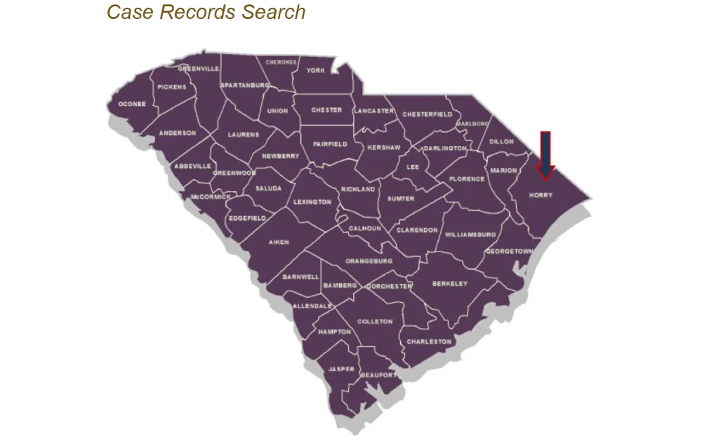 An illustrative map of South Carolina highlighting a specific county in the northeastern region, marked with a red arrow, to navigate through case records search in a statewide context.