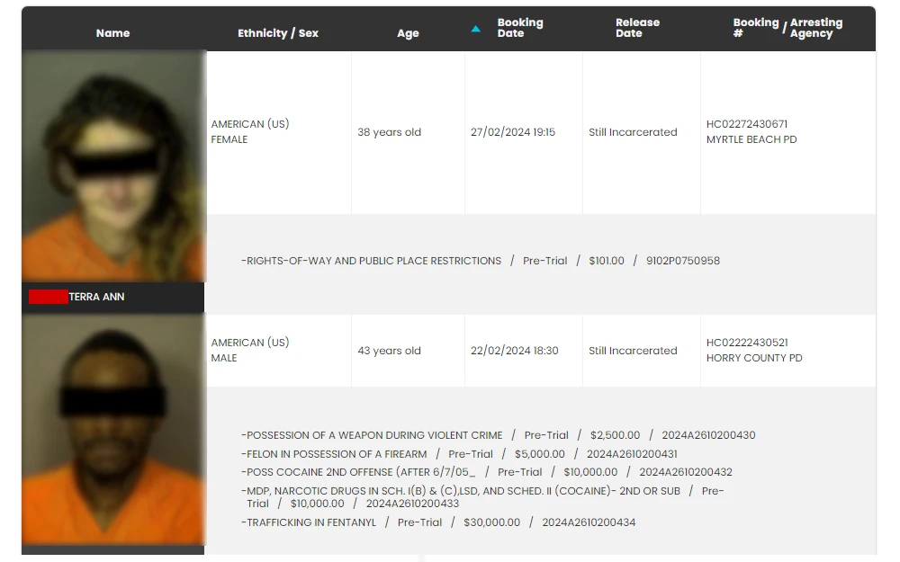 A screenshot of the results from the booking and releases search, displaying the individual's mugshot, name, ethnicity, sex, age, booking date, release date, booking number, and arresting agency.